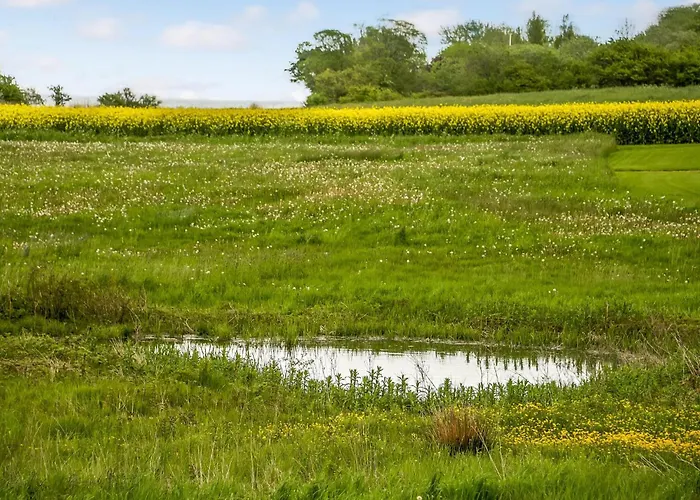 Nyaraló Vinkelbaek Iv *